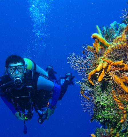 scuuba diving