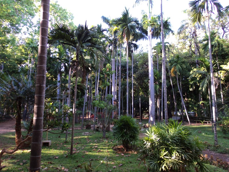 Botanical Gardens Pondicherry